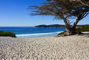 Best Beach near Monterey