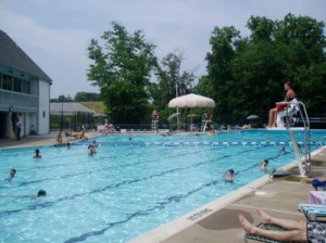 Pool at Burke Conservancy