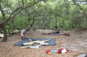 Camping at First Landing Park