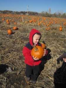 Picking pumpkins at the Bellevue Berry Farm and Pumpkin Ranch