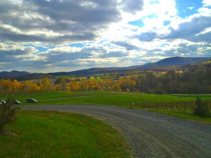 Virginia Wineries near Quanitco